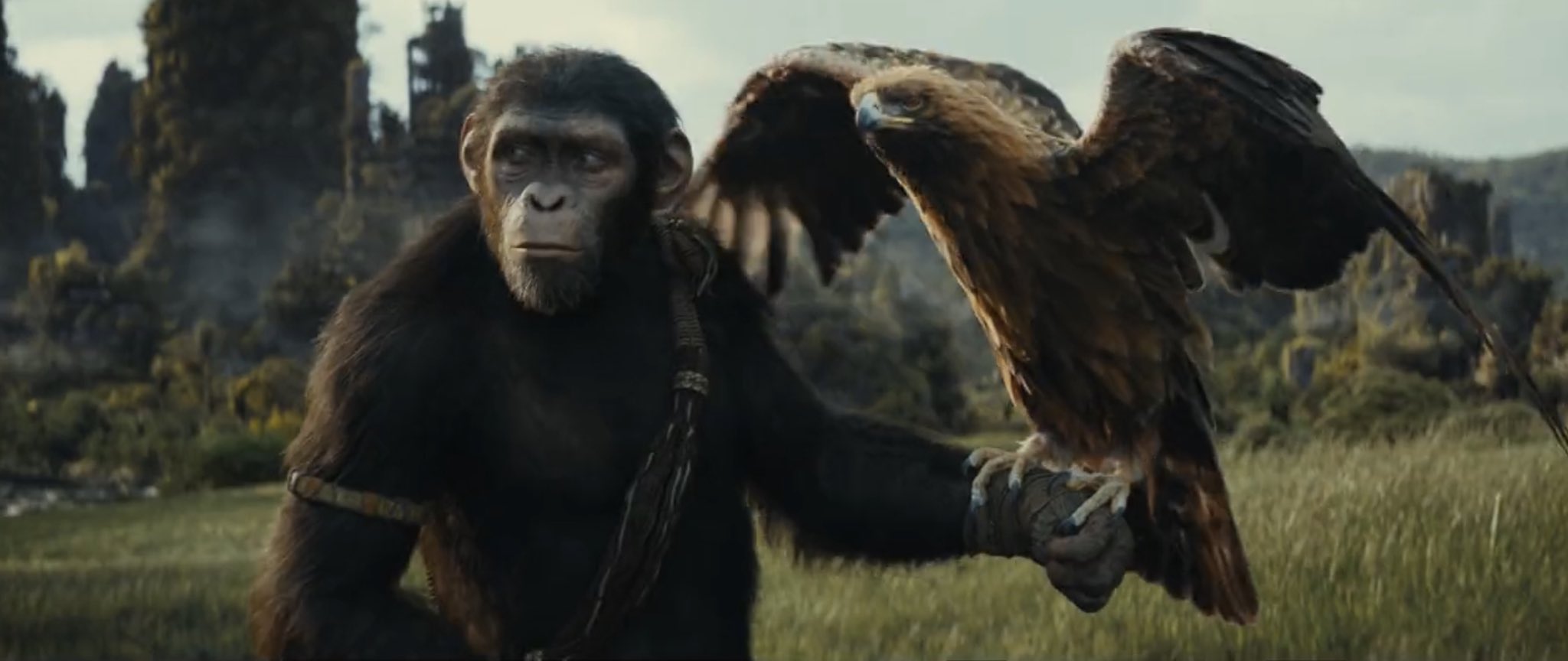 Filmes para assistir antes de Planeta dos Macacos: O Reinado