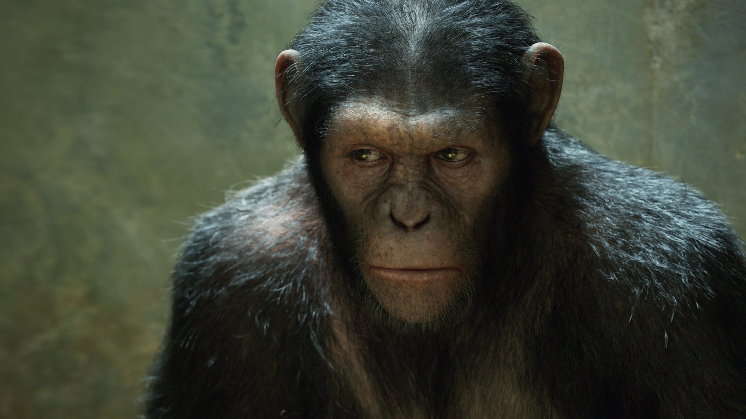 Planeta dos Macacos a origem é o primeiro filme para assistir antes de Planeta dos Macacos: O Reinado